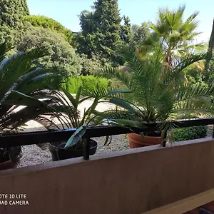  Appartement Les Palmiers